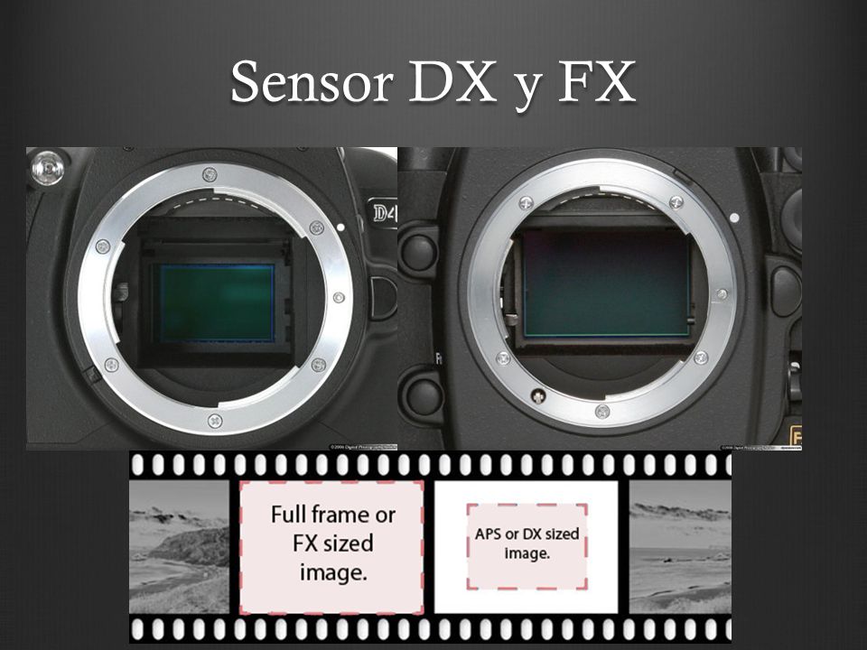 Sensor DX y FX