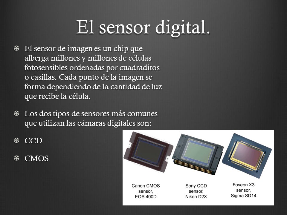 El sensor digital.