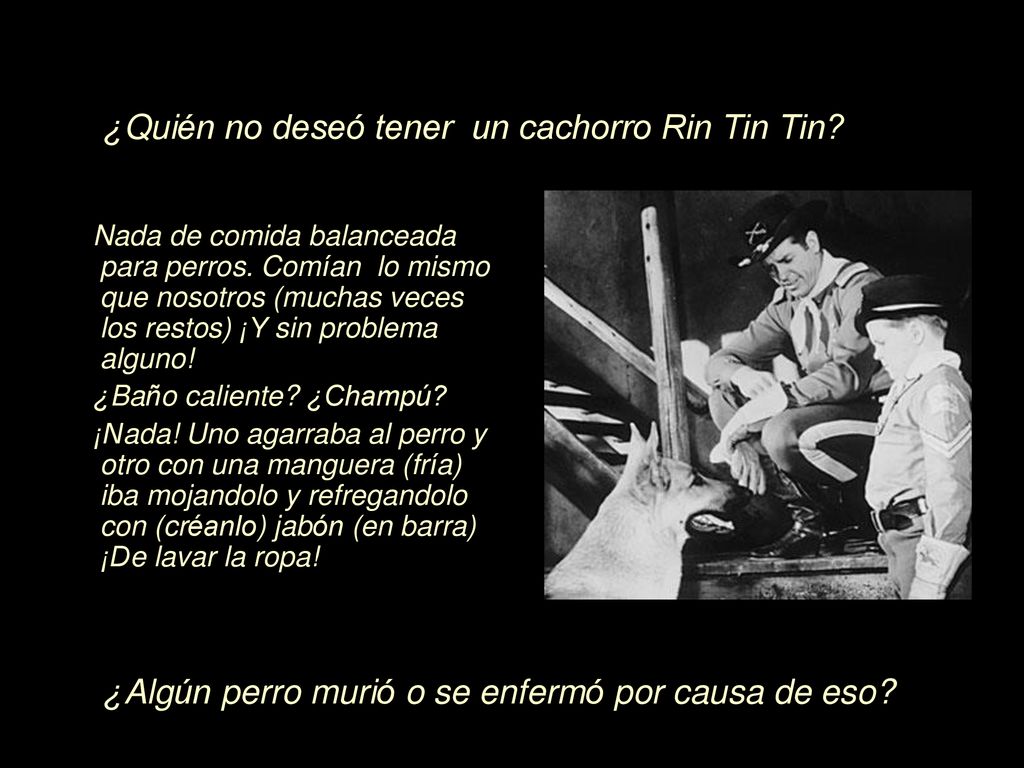 ¿Quién no deseó tener un cachorro Rin Tin Tin