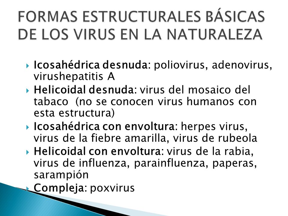 Clasificacion Estructura Y Replicacion De Los Virus Ppt Descargar