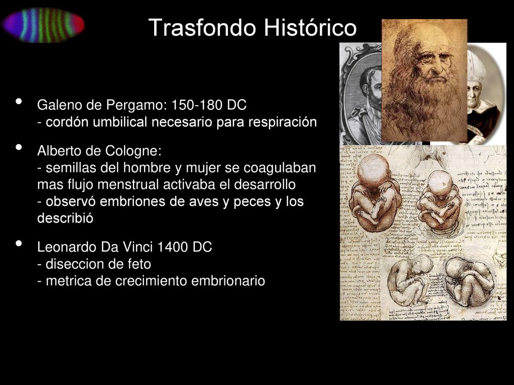 Trasfondo Histórico Galeno de Pergamo: DC - cordón umbilical necesario para respiración.