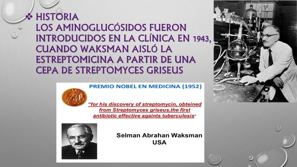 Historia Los aminoglucósidos fueron introducidos en la clínica en 1943, cuando Waksman aisló la estreptomicina a partir de una cepa de Streptomyces griseus