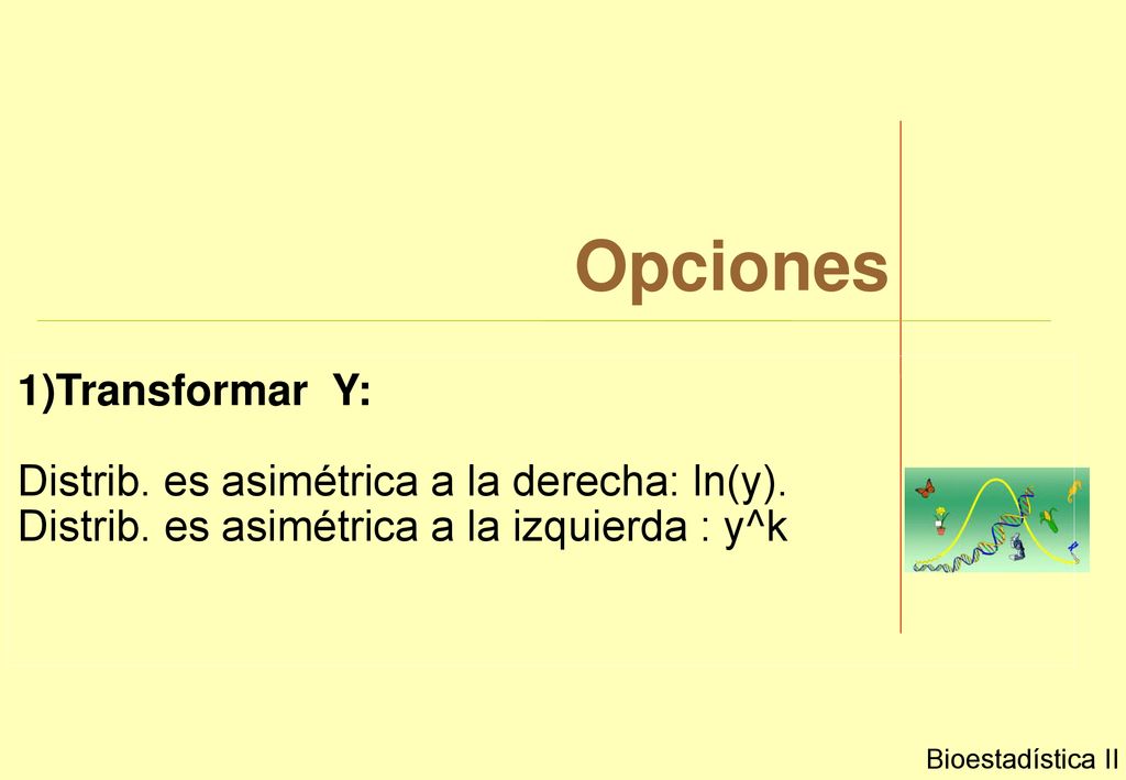 Opciones 1)Transformar Y: Distrib. es asimétrica a la derecha: ln(y).