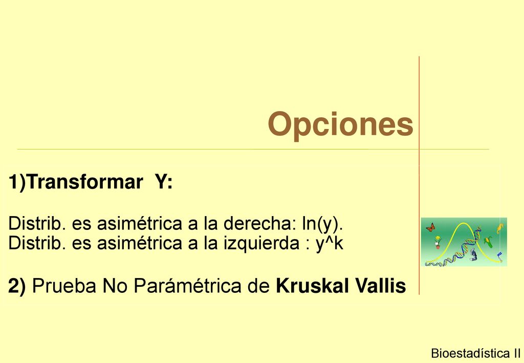 Opciones 1)Transformar Y: 2) Prueba No Parámétrica de Kruskal Vallis