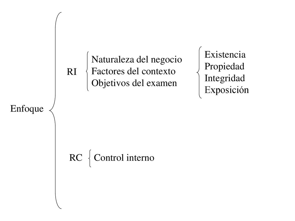 Existencia Propiedad. Integridad. Exposición. Naturaleza del negocio. Factores del contexto. Objetivos del examen.