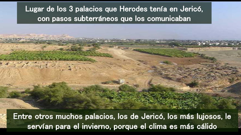 Lugar de los 3 palacios que Herodes tenía en Jericó, con pasos subterráneos que los comunicaban