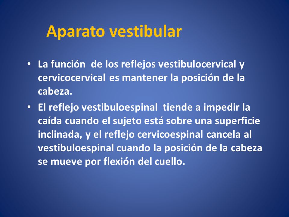 Aparato vestibular La función de los reflejos vestibulocervical y cervicocervical es mantener la posición de la cabeza.