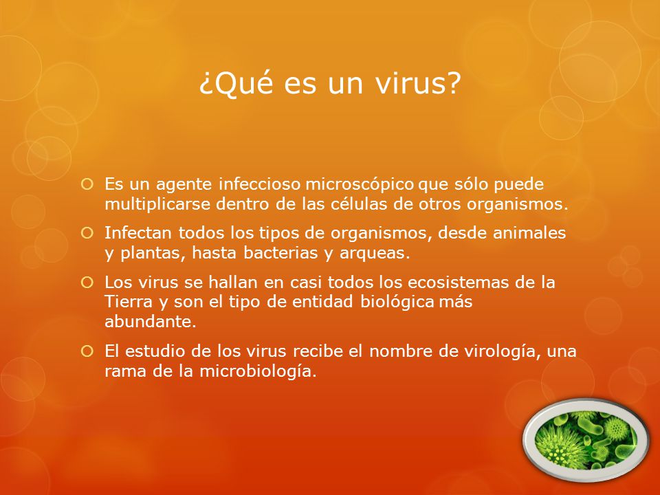¿Qué es un virus Es un agente infeccioso microscópico que sólo puede multiplicarse dentro de las células de otros organismos.