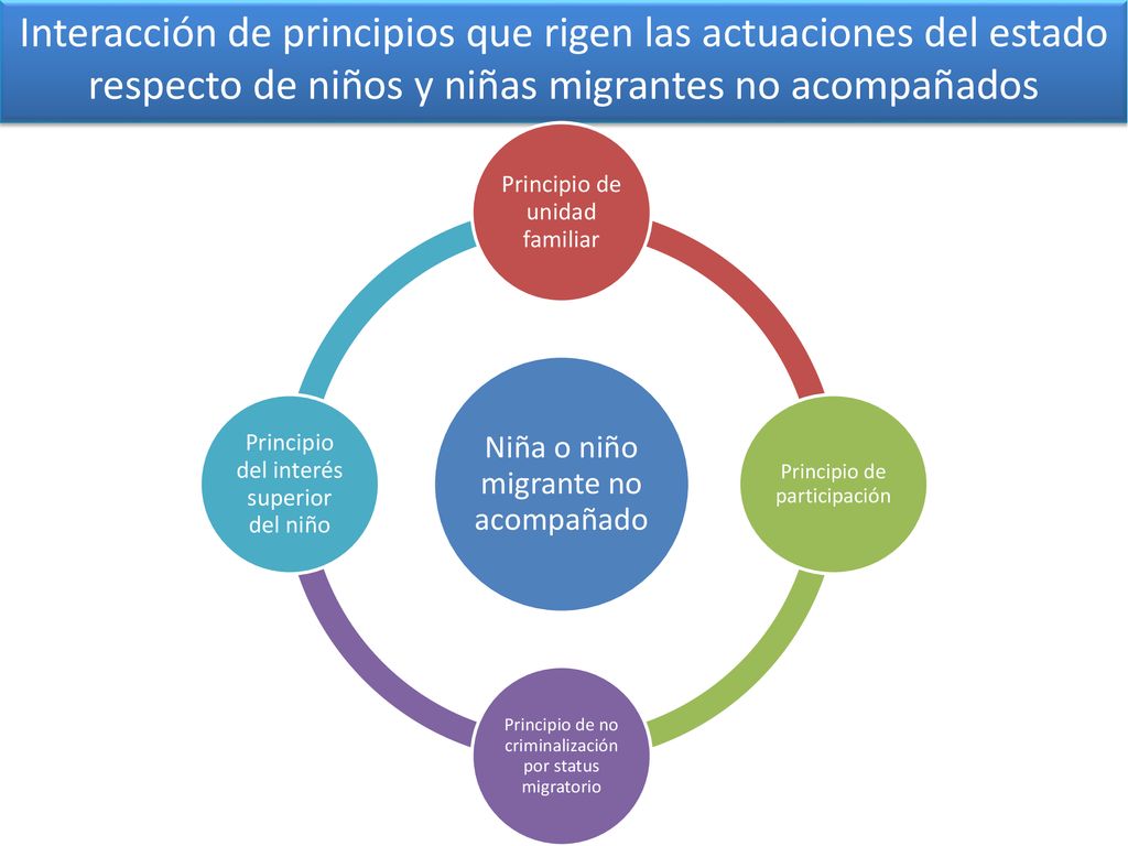 Interacción de principios que rigen las actuaciones del estado respecto de niños y niñas migrantes no acompañados