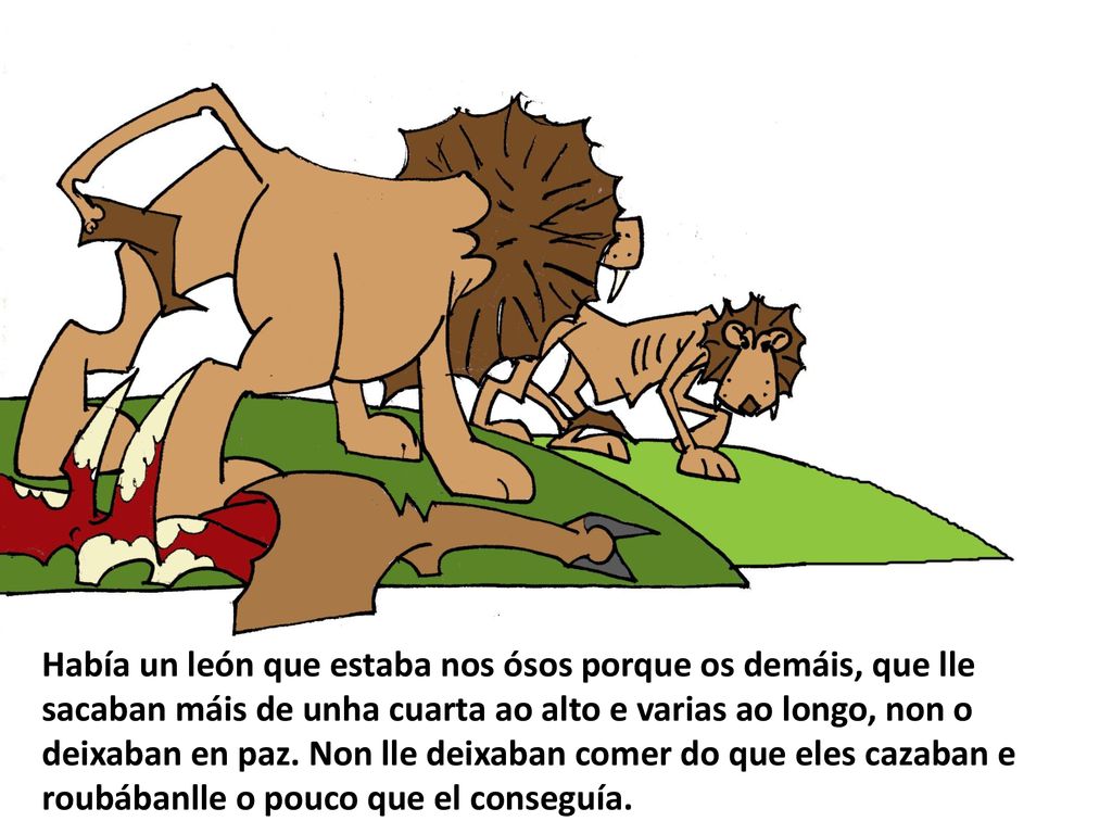 Había un león que estaba nos ósos porque os demáis, que lle sacaban máis de unha cuarta ao alto e varias ao longo, non o deixaban en paz.