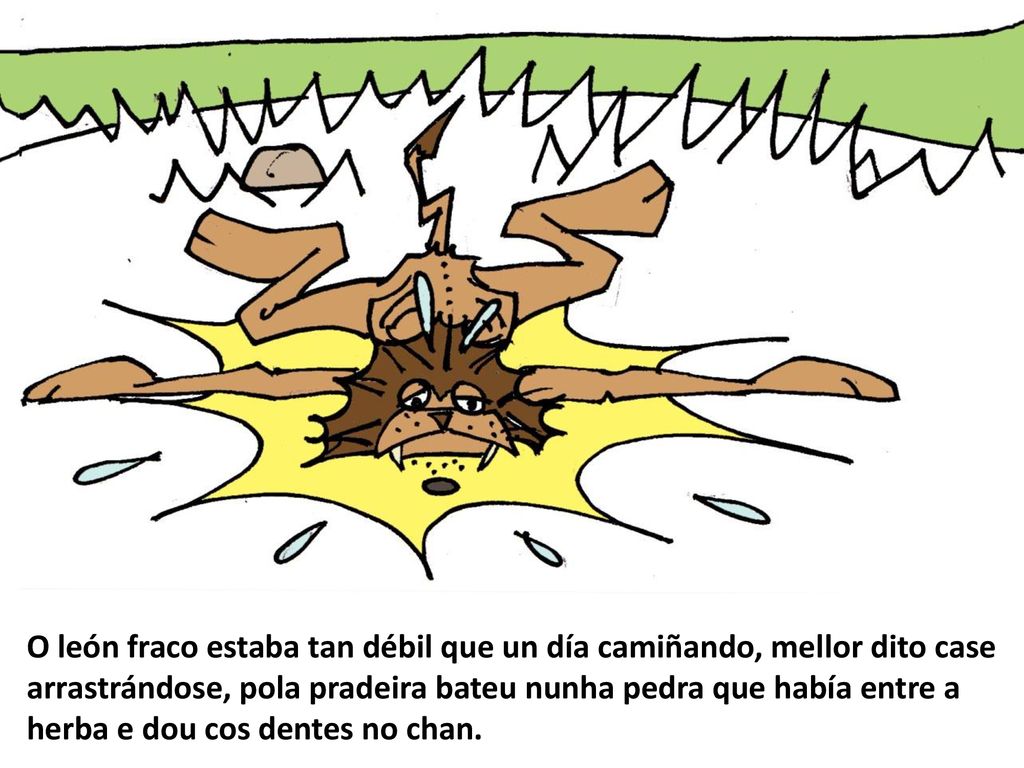 O león fraco estaba tan débil que un día camiñando, mellor dito case arrastrándose, pola pradeira bateu nunha pedra que había entre a herba e dou cos dentes no chan.