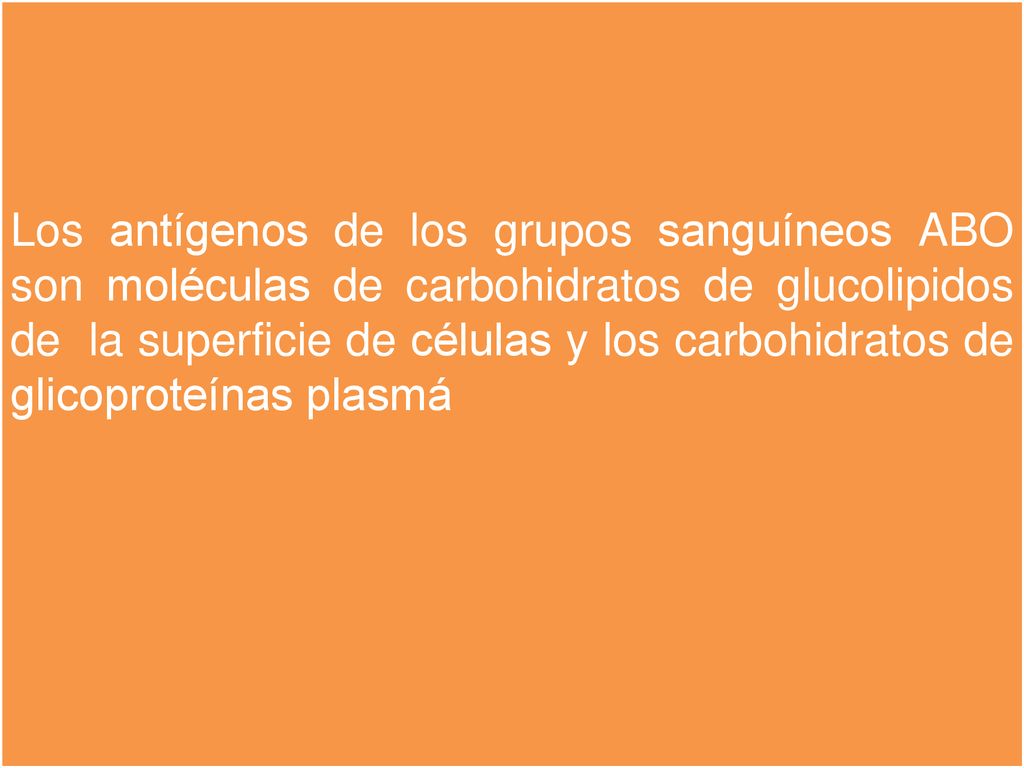 Los antígenos de los grupos sanguíneos ABO son moléculas de carbohidratos de glucolipidos de la superficie de células y los carbohidratos de glicoproteínas plasmá