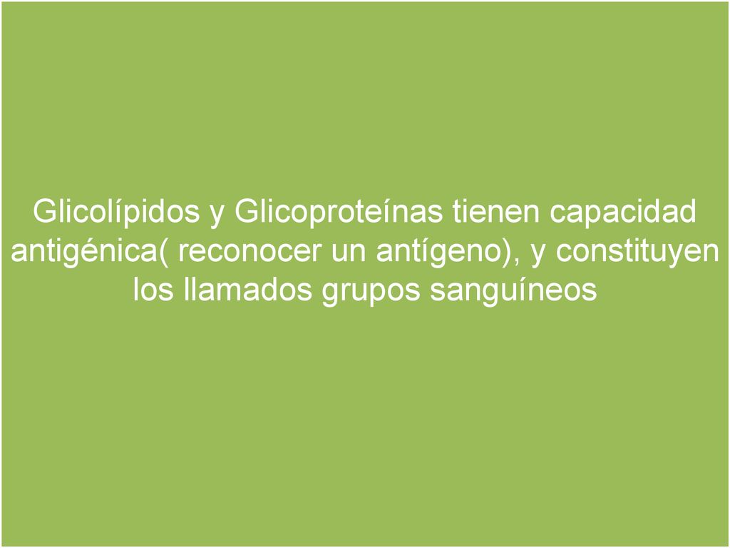 Glicolípidos y Glicoproteínas tienen capacidad antigénica( reconocer un antígeno), y constituyen los llamados grupos sanguíneos