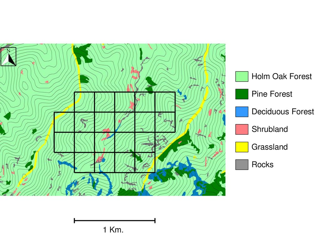 Holm Oak Forest Pine Forest Deciduous Forest Shrubland Grassland Rocks 1 Km.