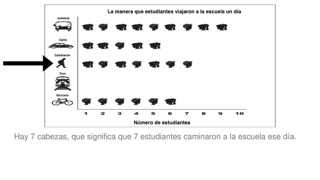 Hay 7 cabezas, que significa que 7 estudiantes caminaron a la escuela ese día.