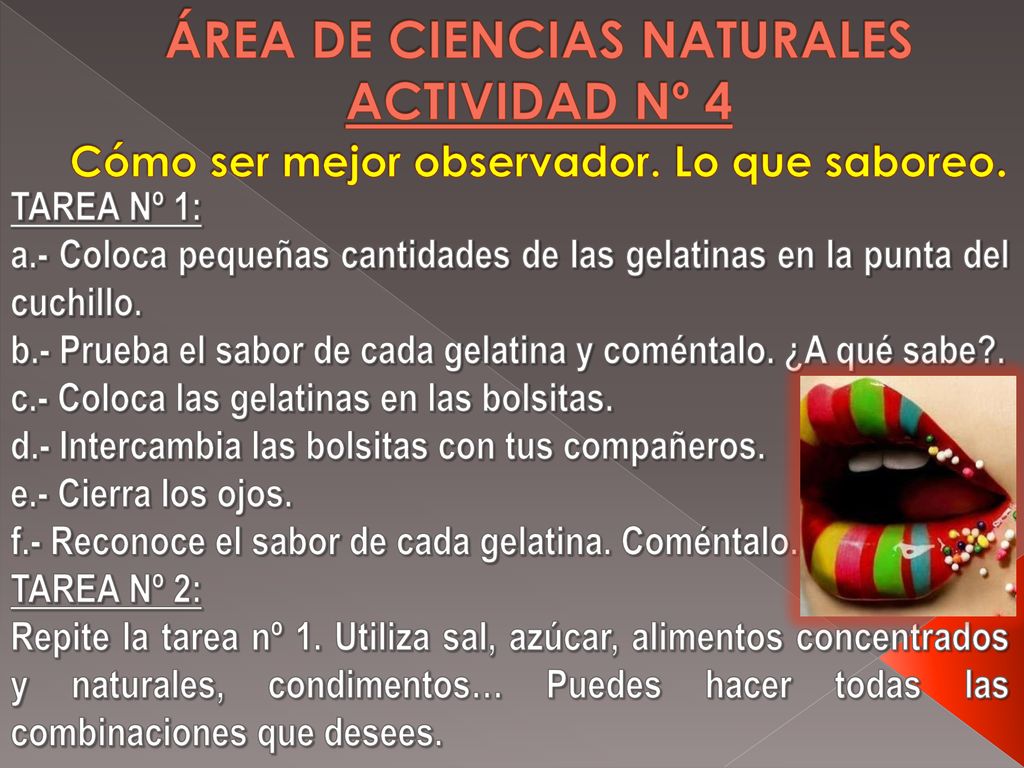 ÁREA DE CIENCIAS NATURALES ACTIVIDAD Nº 4 Cómo ser mejor observador