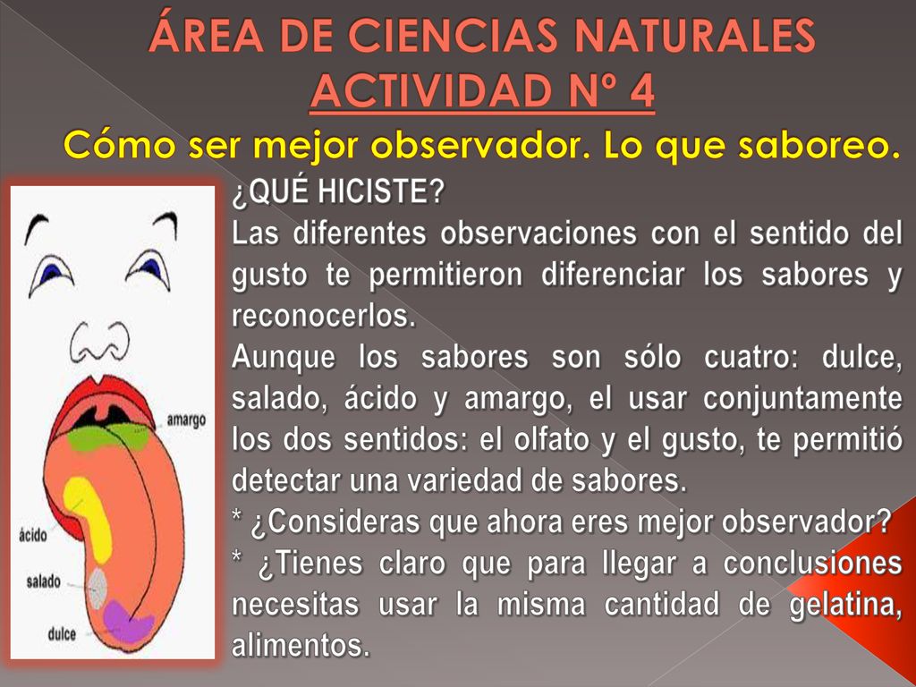 ÁREA DE CIENCIAS NATURALES ACTIVIDAD Nº 4 Cómo ser mejor observador