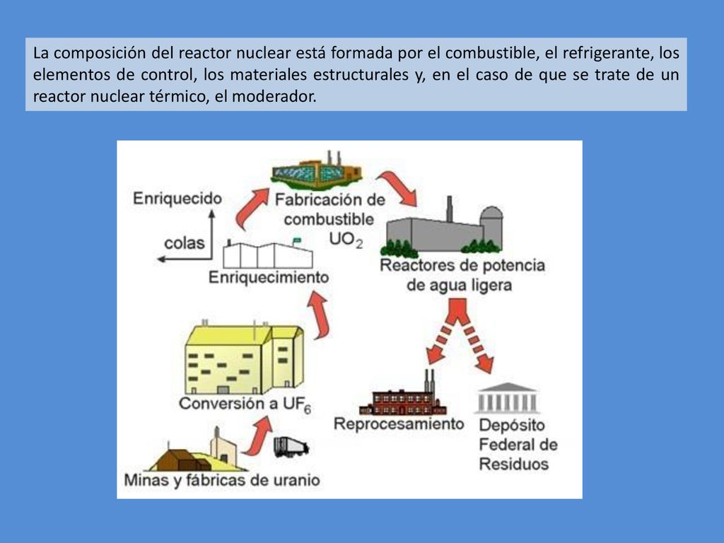 La composición del reactor nuclear está formada por el combustible, el refrigerante, los elementos de control, los materiales estructurales y, en el caso de que se trate de un reactor nuclear térmico, el moderador.