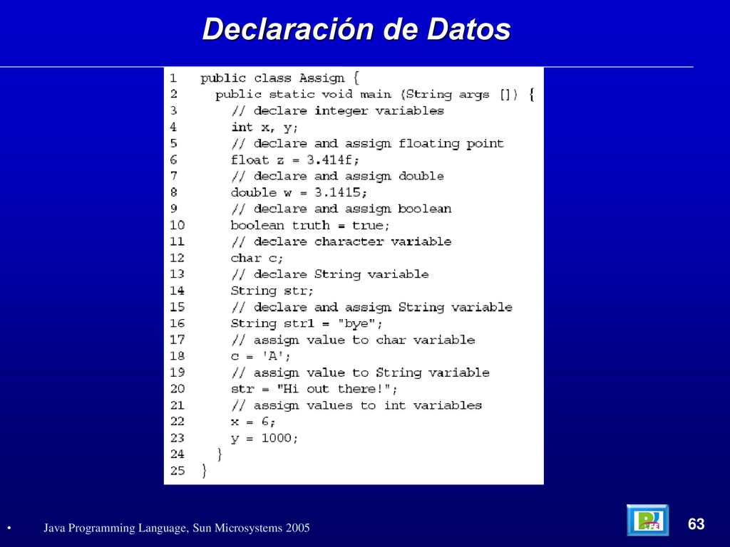 Declaración de Datos 63 Java Programming Language, Sun Microsystems 2005