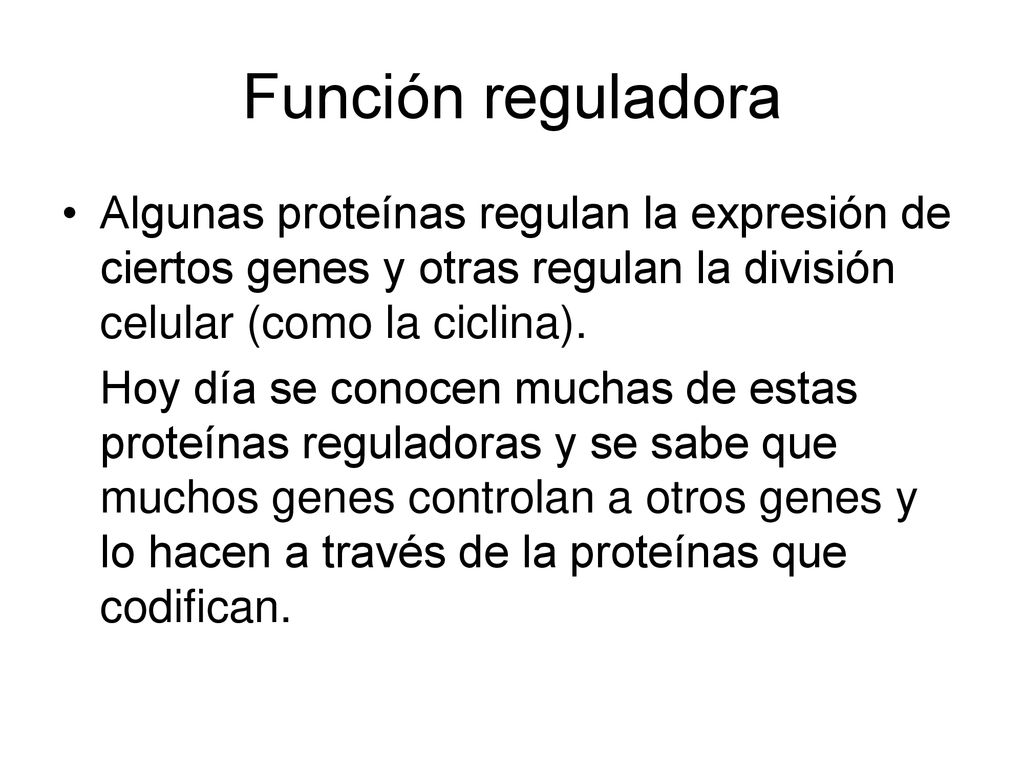Función reguladora Algunas proteínas regulan la expresión de ciertos genes y otras regulan la división celular (como la ciclina).