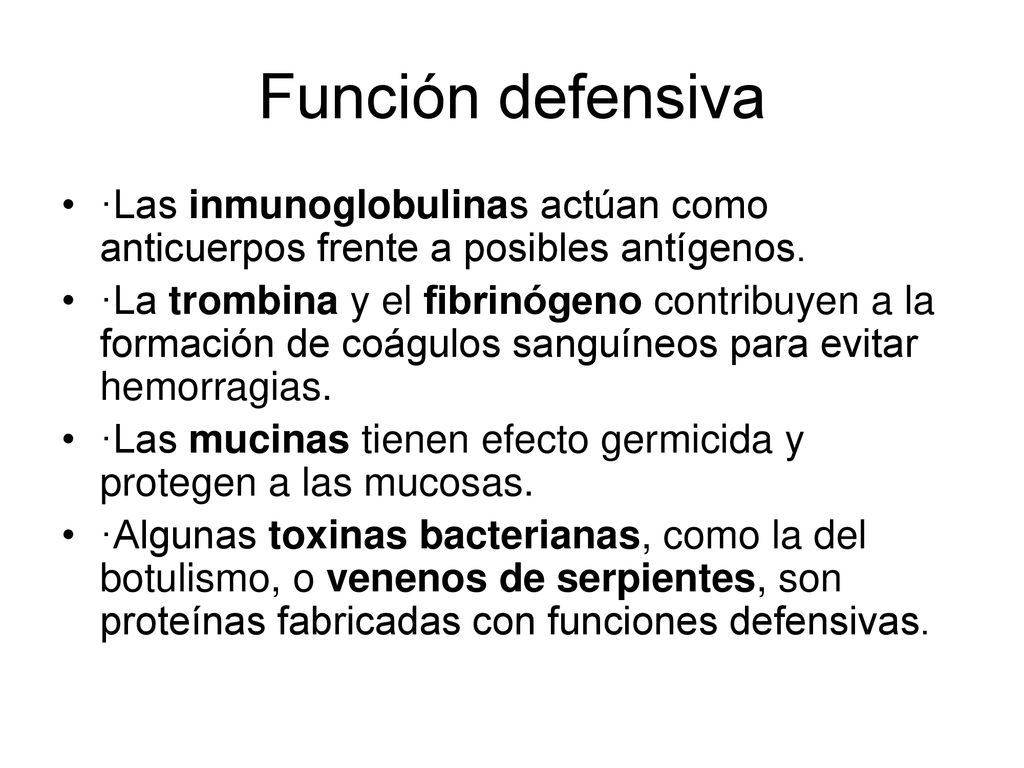 Función defensiva ·Las inmunoglobulinas actúan como anticuerpos frente a posibles antígenos.