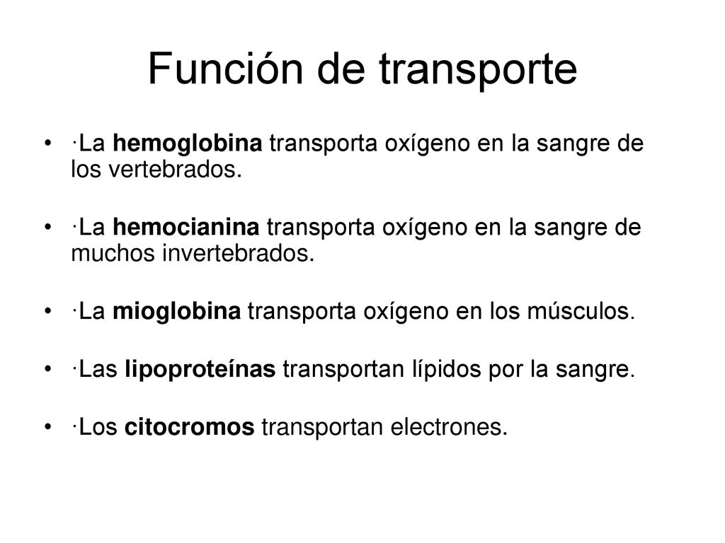 Función de transporte ·La hemoglobina transporta oxígeno en la sangre de los vertebrados.