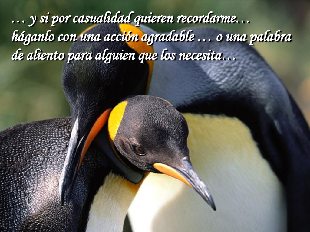 … y si por casualidad quieren recordarme… háganlo con una acción agradable … o una palabra de aliento para alguien que los necesita…