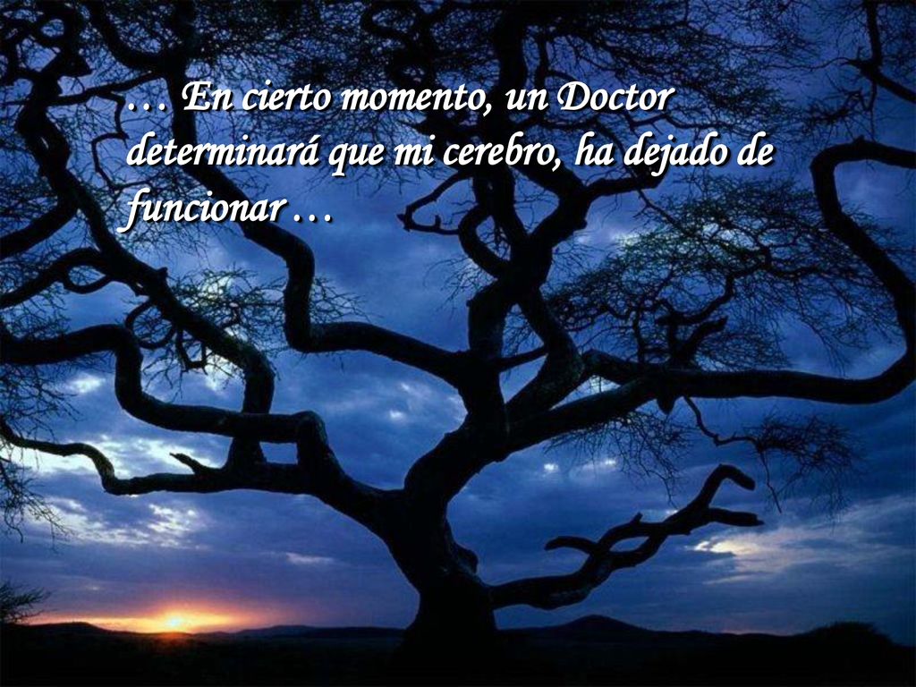 … En cierto momento, un Doctor determinará que mi cerebro, ha dejado de funcionar …