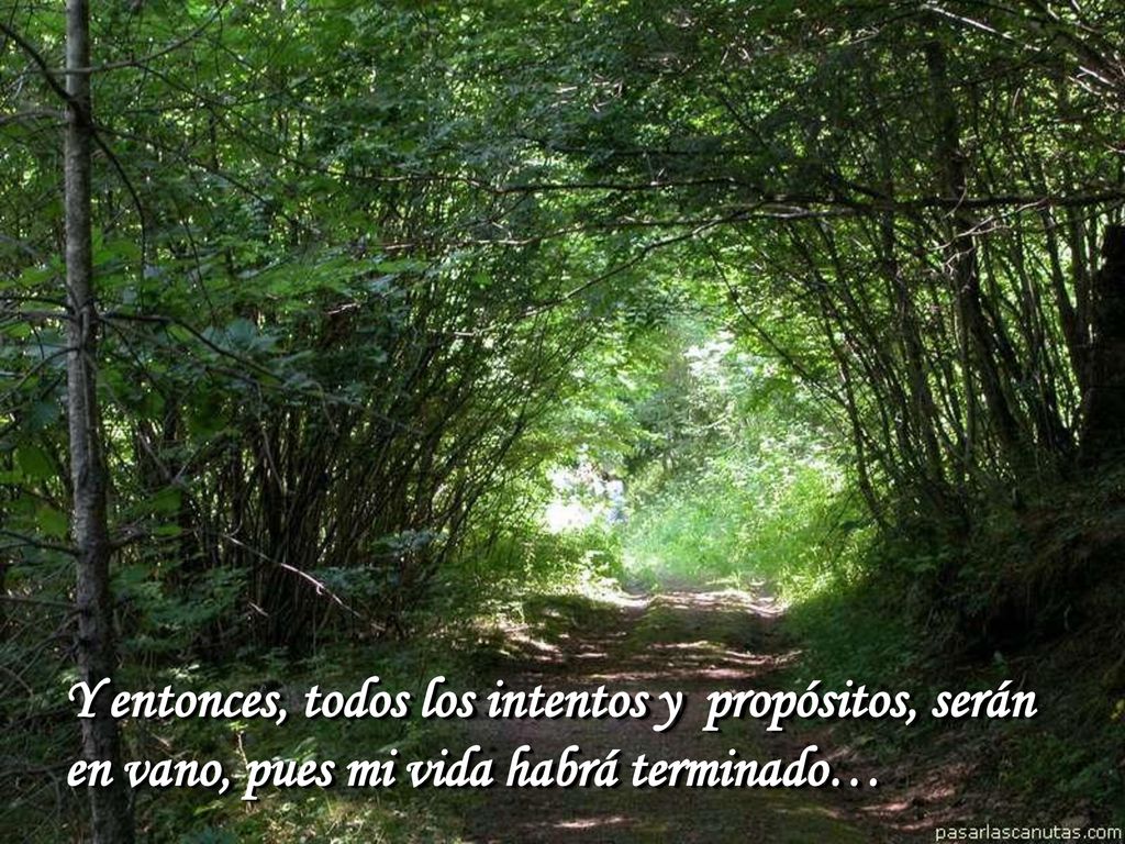 Y entonces, todos los intentos y propósitos, serán en vano, pues mi vida habrá terminado…