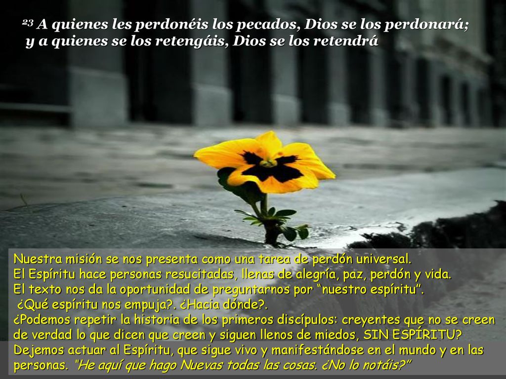 23 A quienes les perdonéis los pecados, Dios se los perdonará; y a quienes se los retengáis, Dios se los retendrá