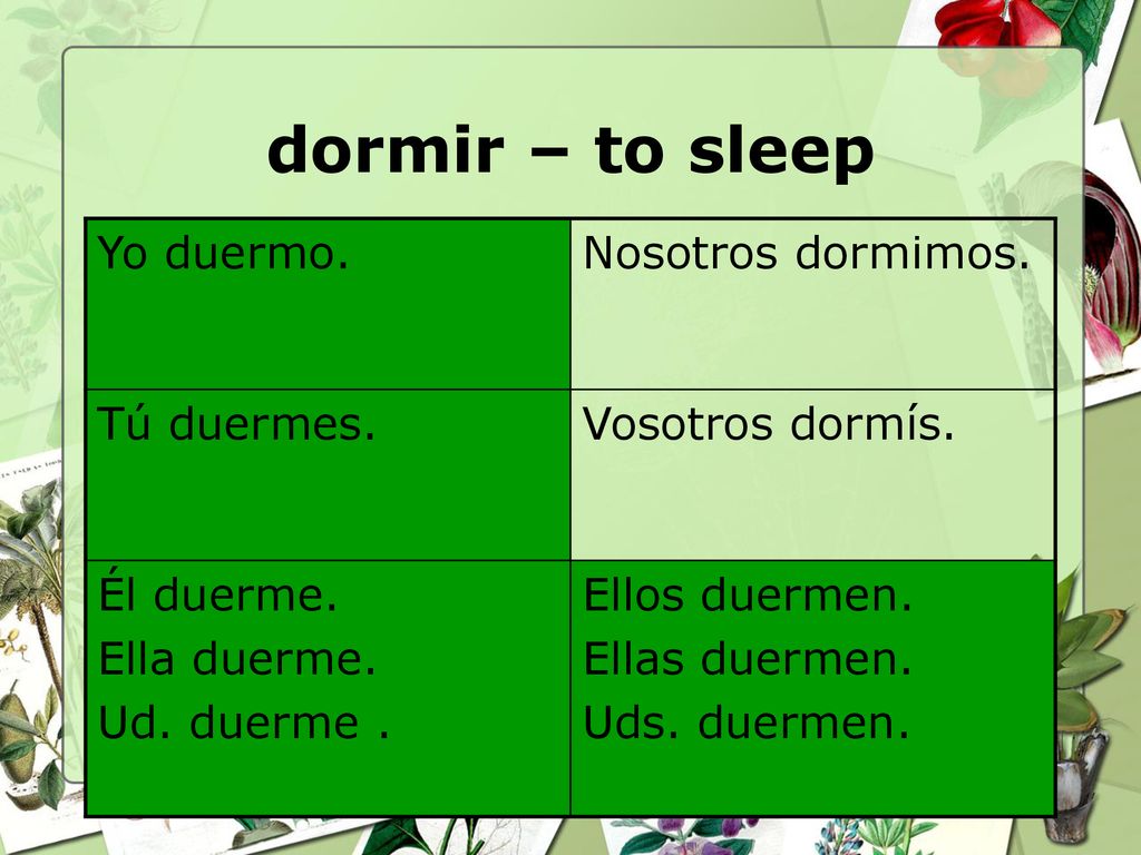 dormir – to sleep Yo duermo. Nosotros dormimos. Tú duermes.