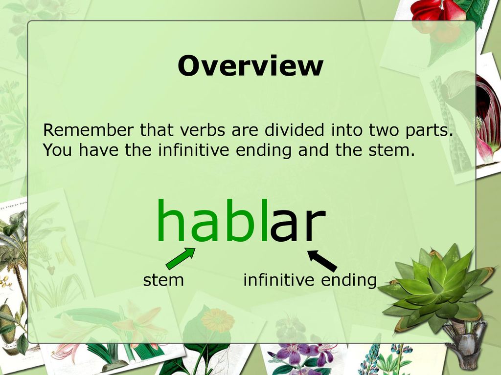 Overview Remember that verbs are divided into two parts. You have the infinitive ending and the stem.
