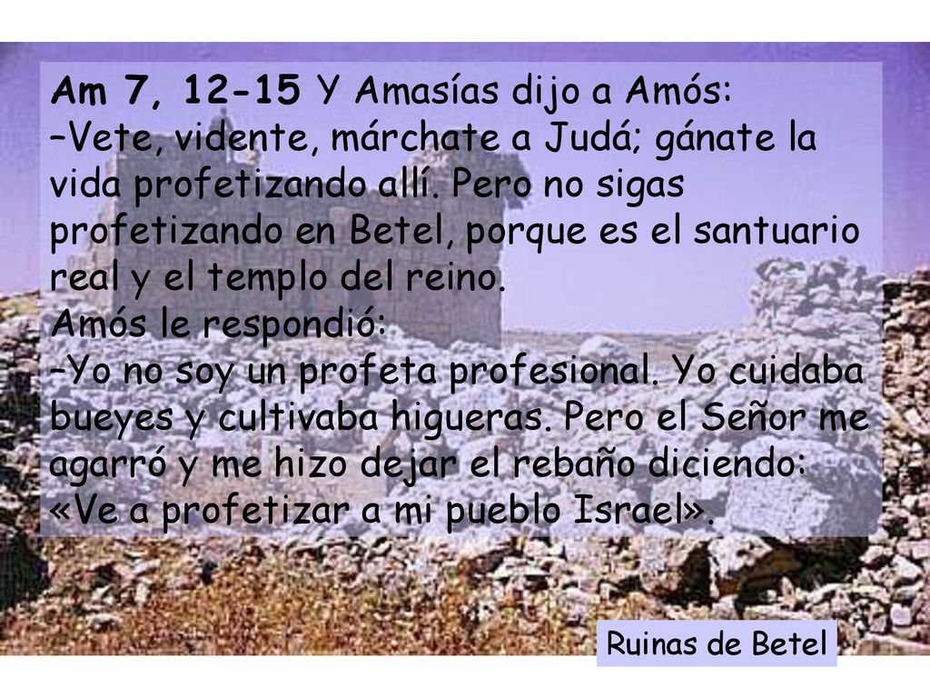 Am 7, Y Amasías dijo a Amós: –Vete, vidente, márchate a Judá; gánate la vida profetizando allí. Pero no sigas profetizando en Betel, porque es el santuario real y el templo del reino. Amós le respondió: –Yo no soy un profeta profesional. Yo cuidaba bueyes y cultivaba higueras. Pero el Señor me agarró y me hizo dejar el rebaño diciendo: «Ve a profetizar a mi pueblo Israel».