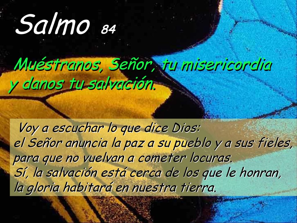 Salmo 84 Muéstranos, Señor, tu misericordia y danos tu salvación.