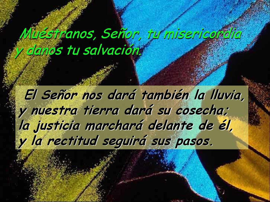 Muéstranos, Señor, tu misericordia y danos tu salvación.