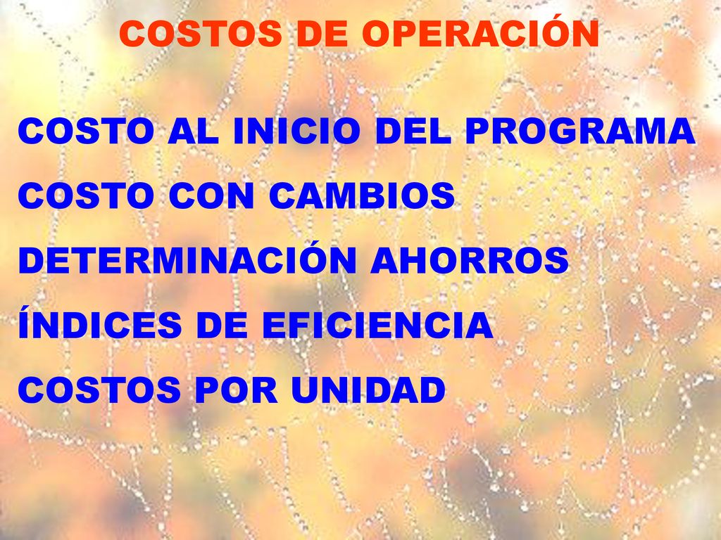 COSTOS DE OPERACIÓN COSTO AL INICIO DEL PROGRAMA. COSTO CON CAMBIOS. DETERMINACIÓN AHORROS. ÍNDICES DE EFICIENCIA.