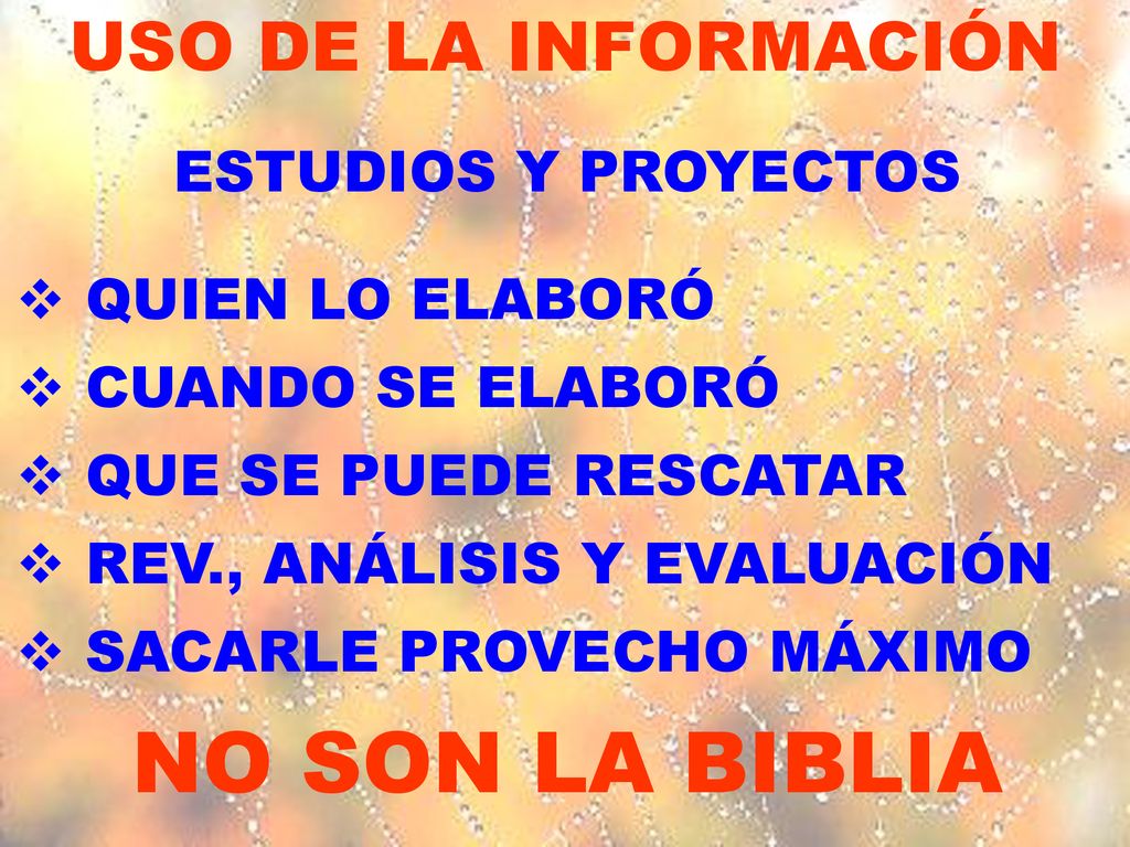 NO SON LA BIBLIA USO DE LA INFORMACIÓN ESTUDIOS Y PROYECTOS