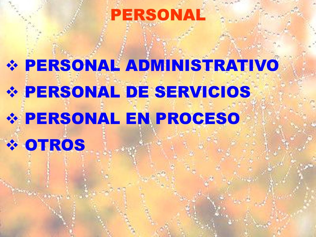 PERSONAL PERSONAL ADMINISTRATIVO PERSONAL DE SERVICIOS PERSONAL EN PROCESO OTROS
