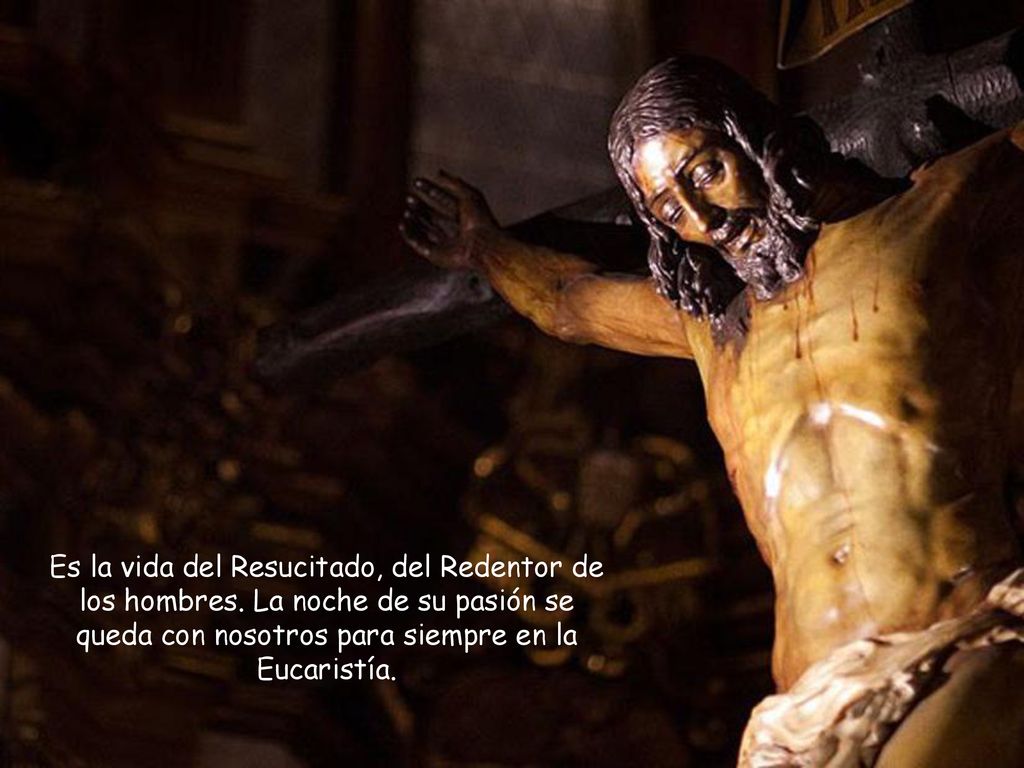 Es la vida del Resucitado, del Redentor de los hombres