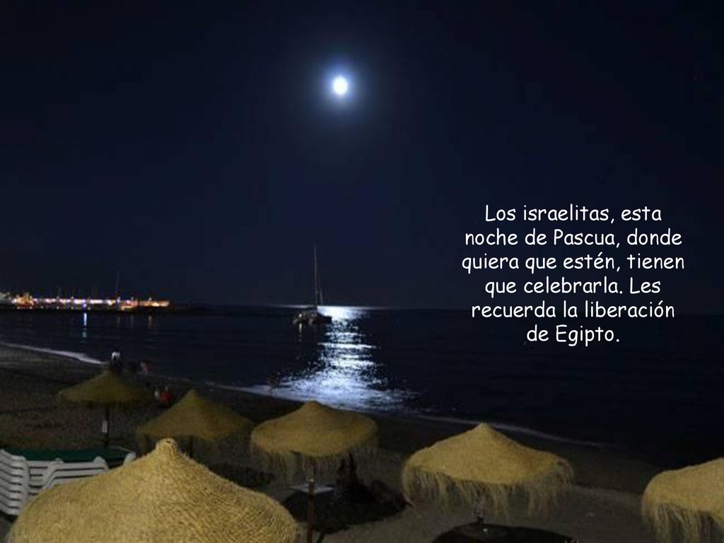 Los israelitas, esta noche de Pascua, donde quiera que estén, tienen que celebrarla.