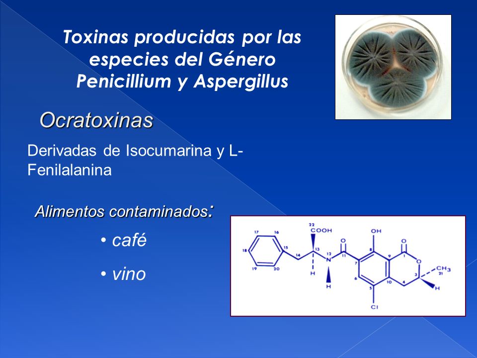 Toxinas producidas por las especies del Género Penicillium y Aspergillus