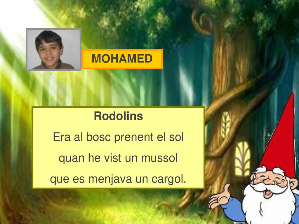 Era al bosc prenent el sol quan he vist un mussol