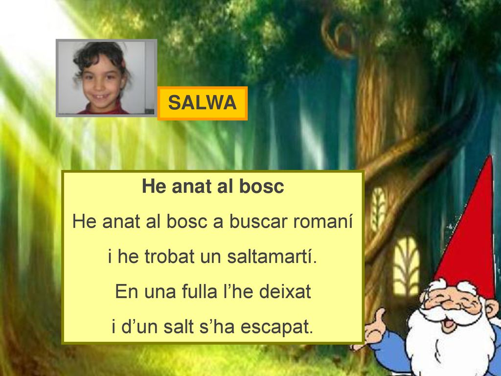 He anat al bosc a buscar romaní i he trobat un saltamartí.