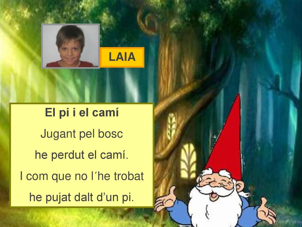 LAIA El pi i el camí. Jugant pel bosc. he perdut el camí.