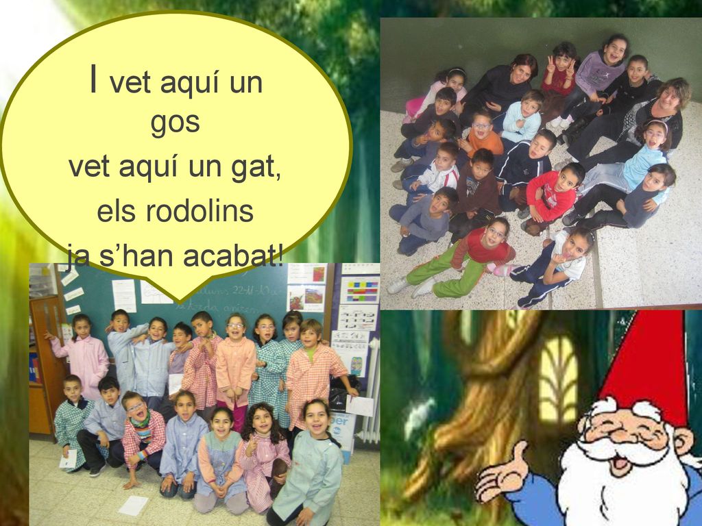 I vet aquí un gos vet aquí un gat, els rodolins ja s’han acabat!