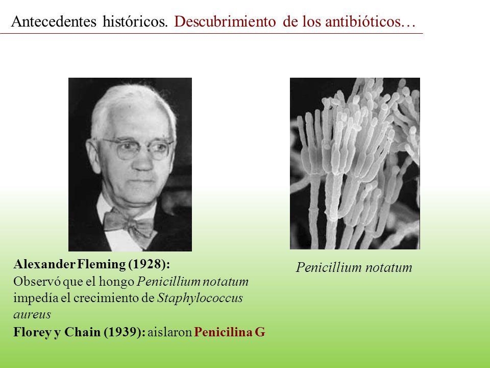 Antecedentes históricos. Descubrimiento de los antibióticos…