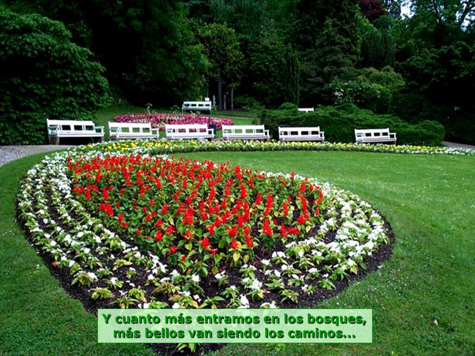 Y cuanto más entramos en los bosques, más bellos van siendo los caminos...