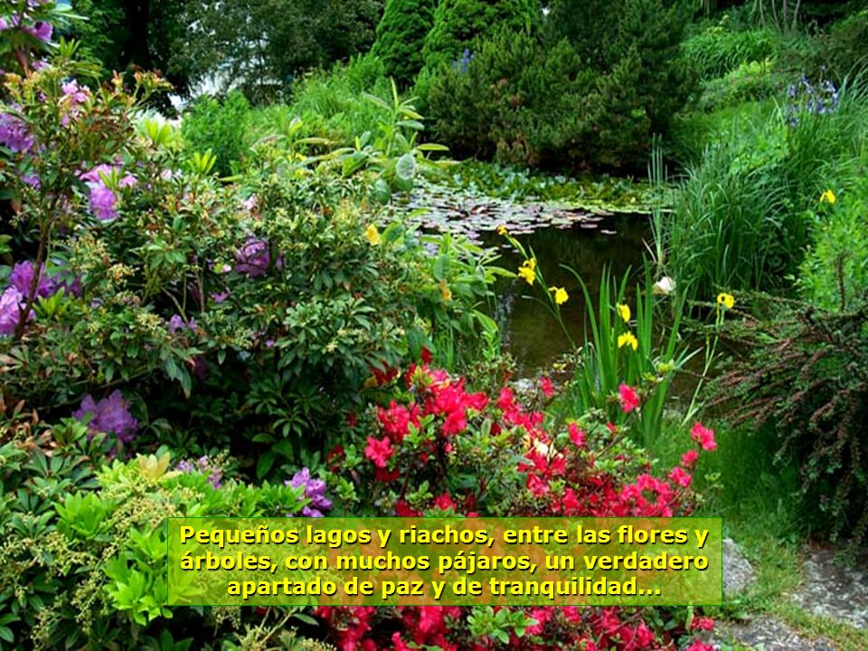 Pequeños lagos y riachos, entre las flores y árboles, con muchos pájaros, un verdadero apartado de paz y de tranquilidad...