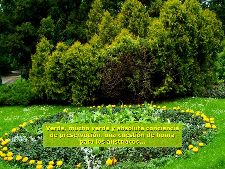 Verde, mucho verde y absoluta conciencia de preservación, una cuestión de honra para los austríacos...