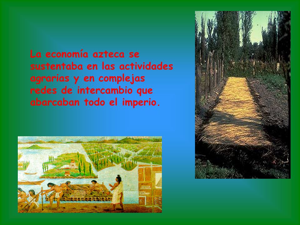La economía azteca se sustentaba en las actividades agrarias y en complejas redes de intercambio que abarcaban todo el imperio.